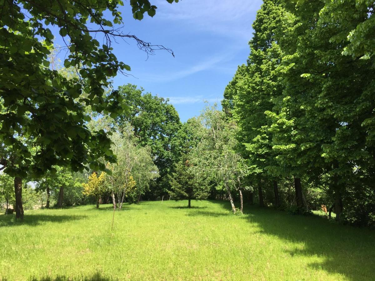 Happy Hill - Appartamento Bambu- Natura E Relax Santa Maria Rocca Buitenkant foto
